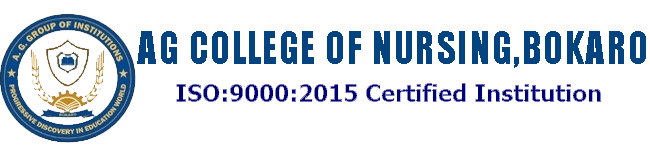 A G NURSING COLLEGE logo with name